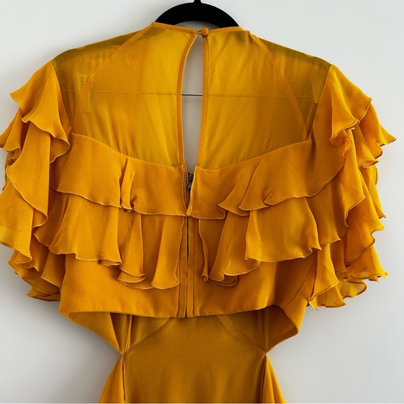 Ruffled Silk Revolve Dress - Picture 6 of 8